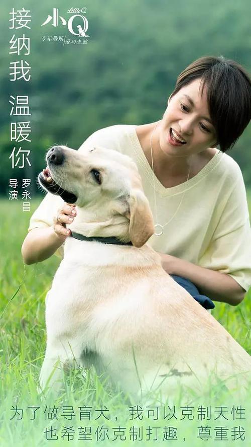 购买智利KYC认证资料
